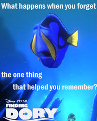 Finding Dory